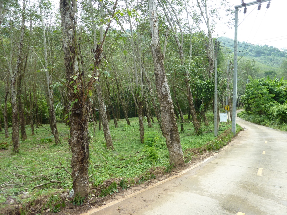 Land for Sale – Rawai